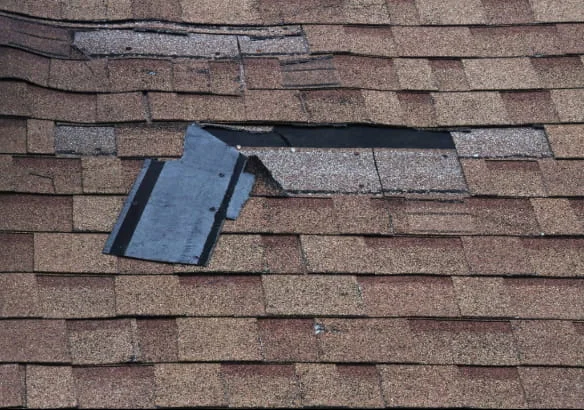 Damaged asphalt shingles with exposed underlayment