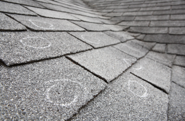 Roof Maintenance Program
