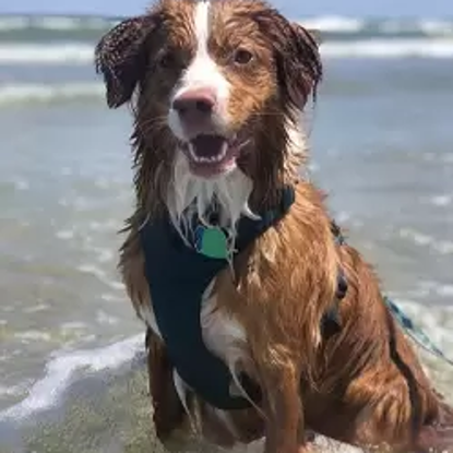 Nora    Photo