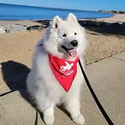 Yukon    Photo