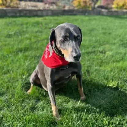 Rocky!    Photo