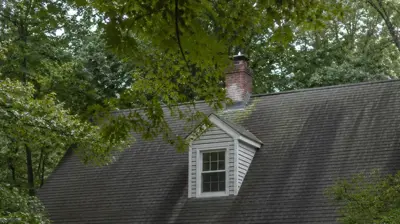 Shaded Cumberland RI roof with moss and algae streaks documented by drone inspection.