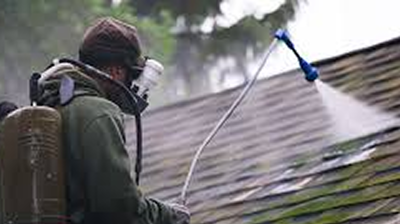 Professional roofer removing moss and algae