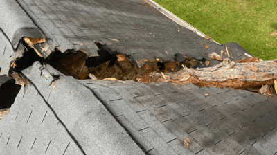 Storm-Damage