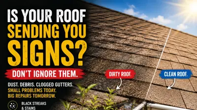Here are five signs that your roof may need professional cleaning.