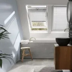 Roof Windows
