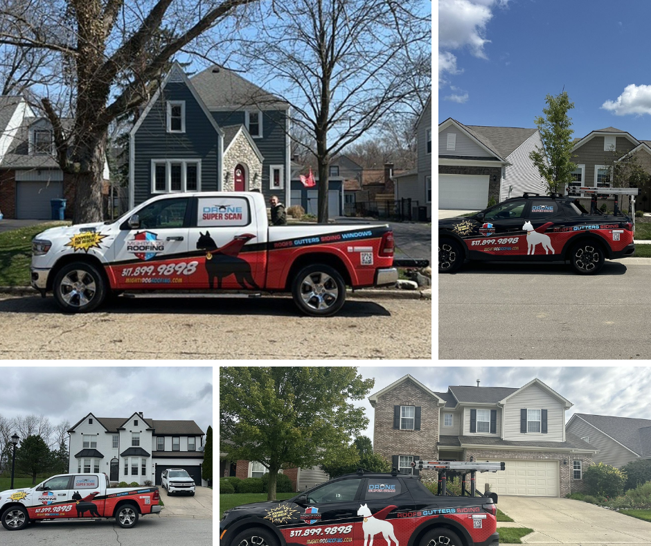 Mighty Dog Roofing