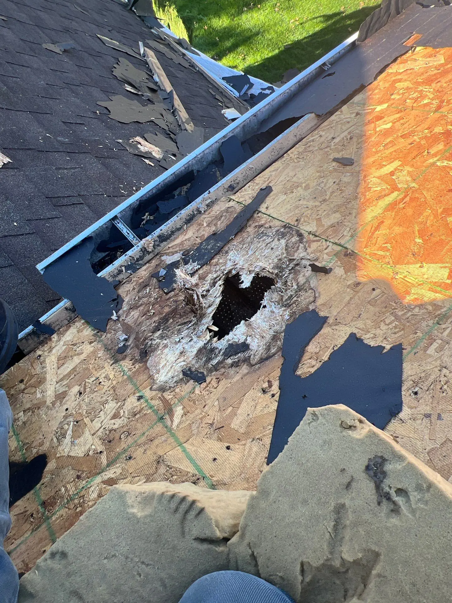 Roof Replacement