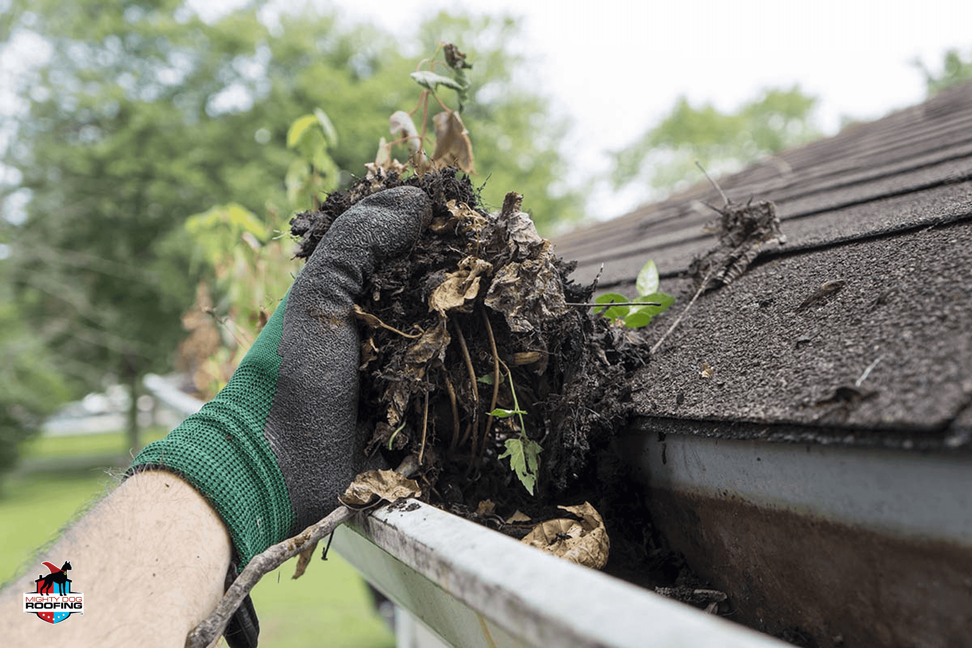gutters with problems
