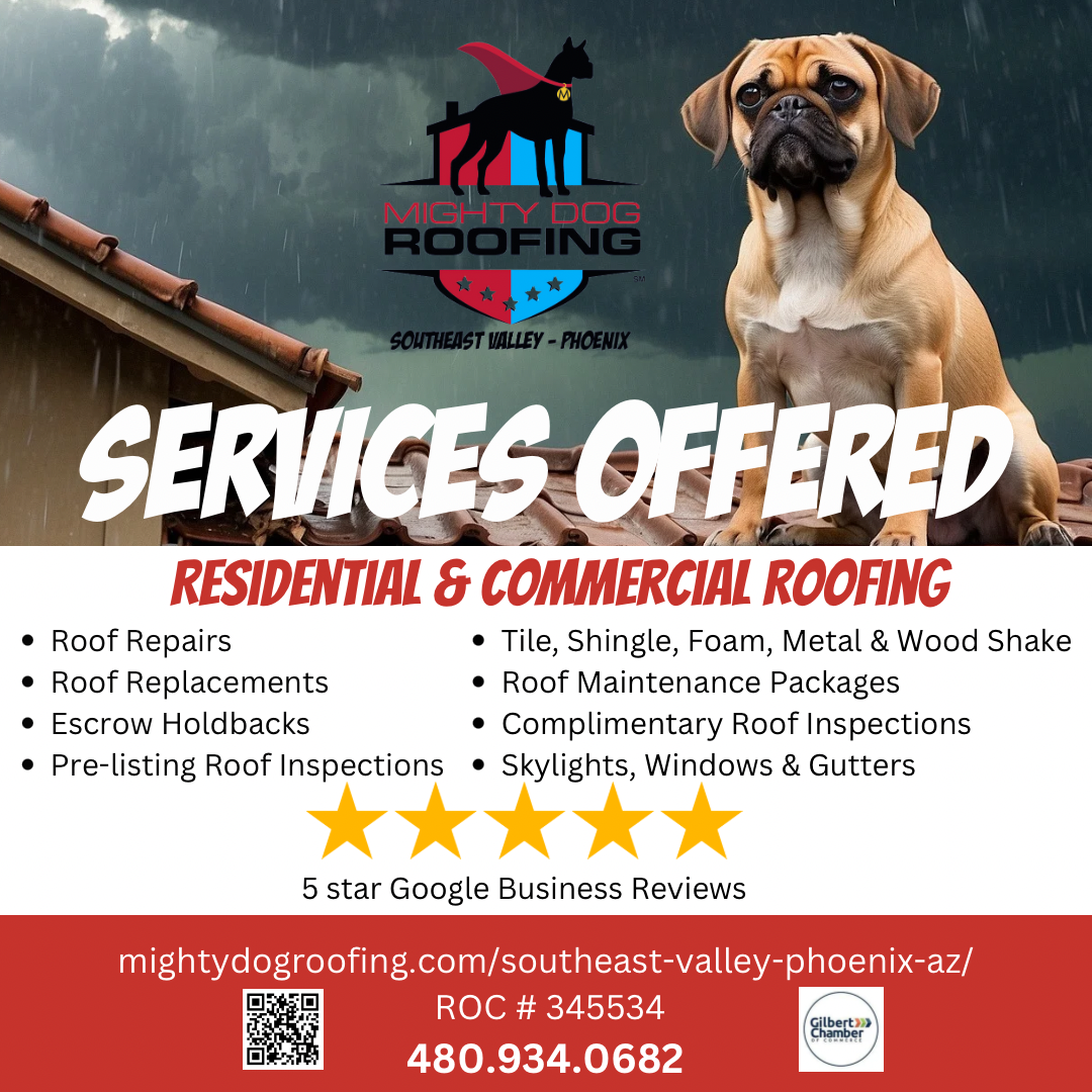 Services Offered
